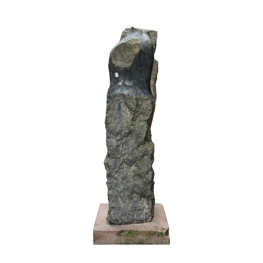 Steinbewachsene Torsi