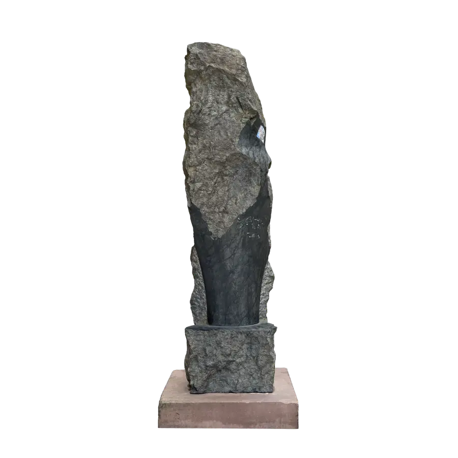 Steinbewachsene Torsi